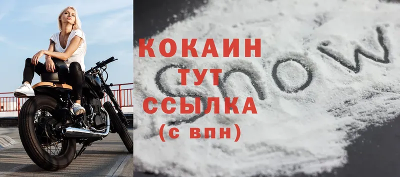 omg ссылка  сколько стоит  Гаджиево  Cocaine VHQ 